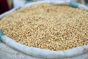 25 Best Vegan Protein Sources (With Grams Per Serving)