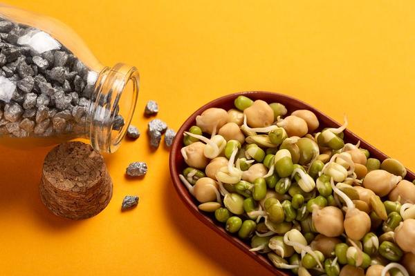 vegan iron and b12 sources